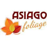 21,22 OTTOBRE - ASIAGO FOLIAGE